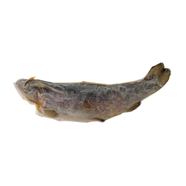 鮮凍鱒鮭<br>350~400g